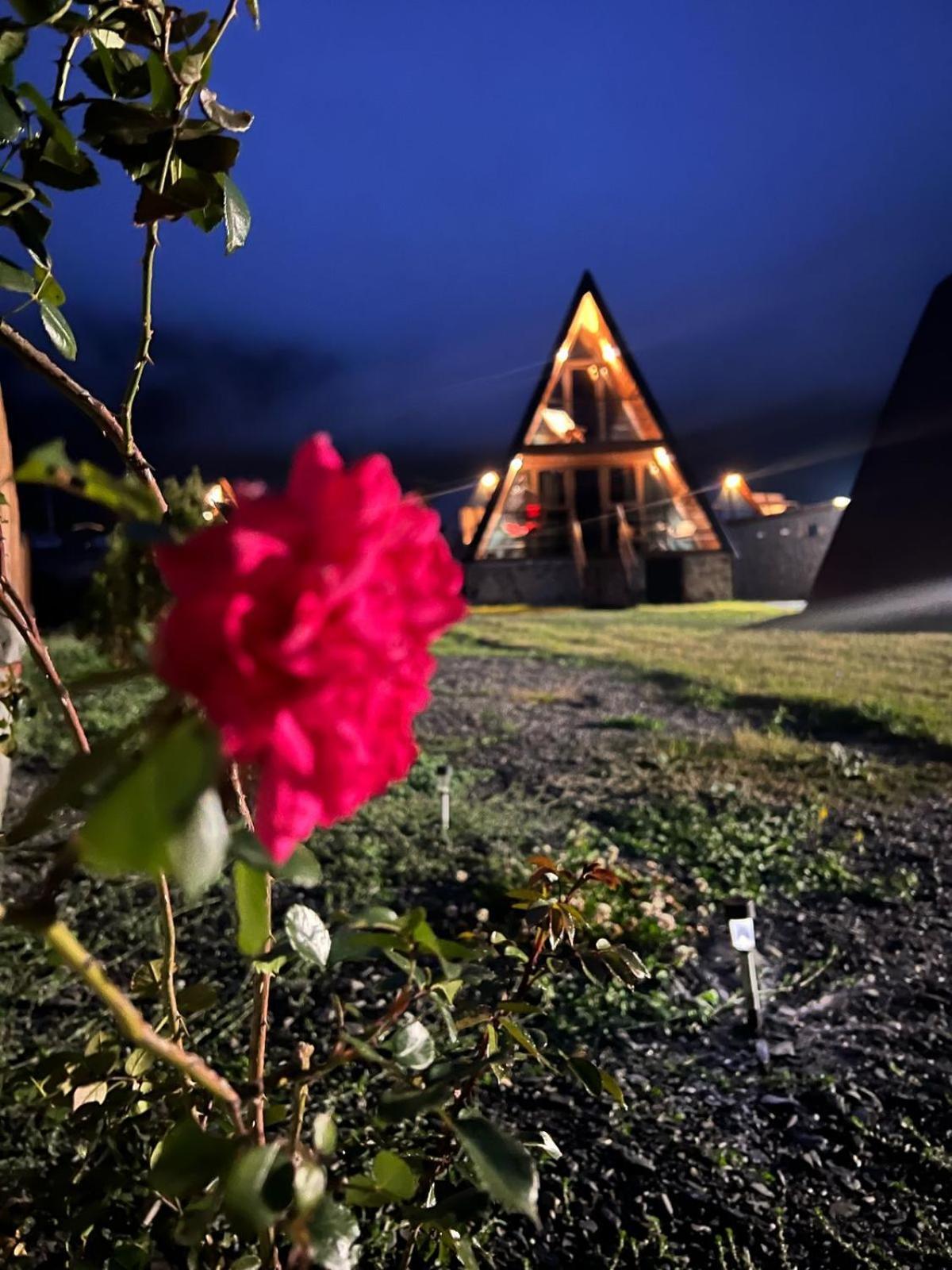 Sanseco Cottage Stepancminda Zewnętrze zdjęcie